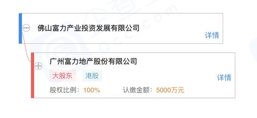 富力地產(chǎn)加碼佛山 新成立產(chǎn)業(yè)投資發(fā)展公司，涉足招投標(biāo)代理服務(wù)